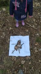 IMG_20200228_110233 (1)